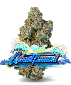 Animal Tsunami Strain