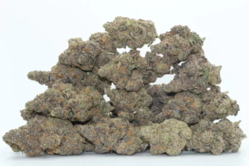 Black Cherry Cheese Strain​