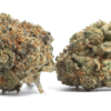 Black Cherry Dulce Strain