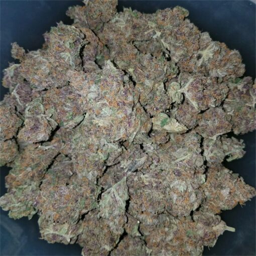 Black Cherry Fizz Strain​