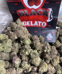 Black Cherry Gelato Strain