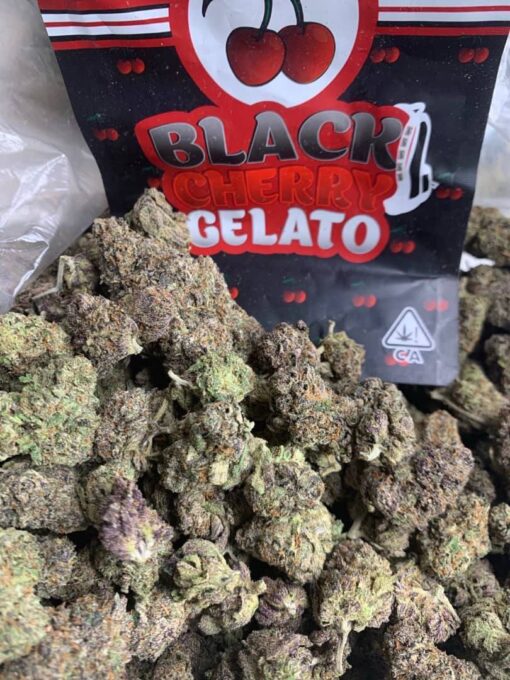 Black Cherry Gelato Strain