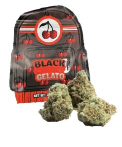 Black Cherry Gelato Strain Backpackboyz