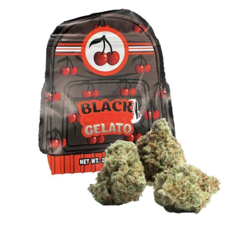 Black Cherry Gelato Strain Backpackboyz