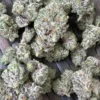 Black Cherry Gmo Strain​