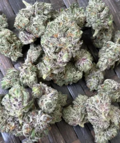 Black Cherry Gmo Strain​