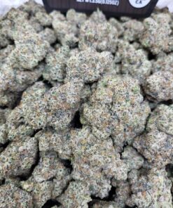 Black Cherry Gushers Strain