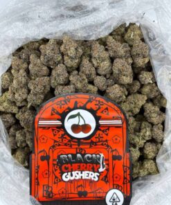 Black Cherry Gushers Strain Backpackboyz​