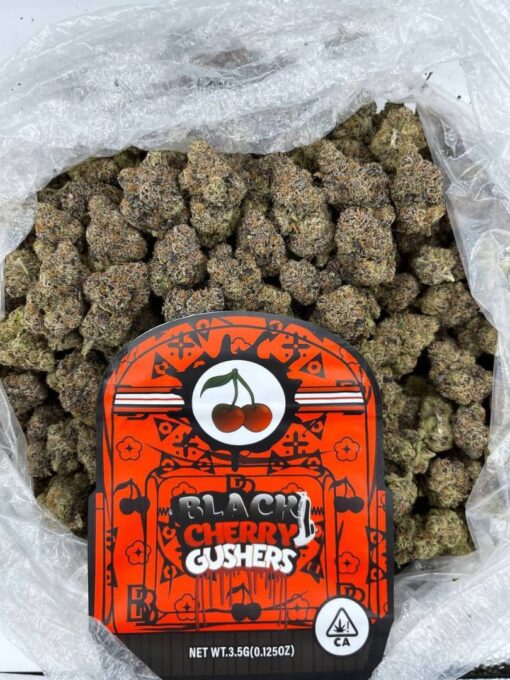 Black Cherry Gushers Strain Backpackboyz​