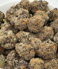Black Cherry Honey Strain​