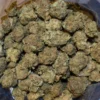 Black Cherry Ice Cream Strain​