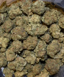 Black Cherry Ice Cream Strain​