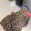 Black Cherry Lemonade Strain​