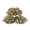 Black Cherry Sherbet Strain​