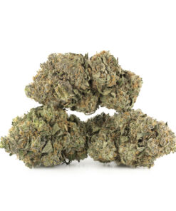 Black Cherry Sherbet Strain​