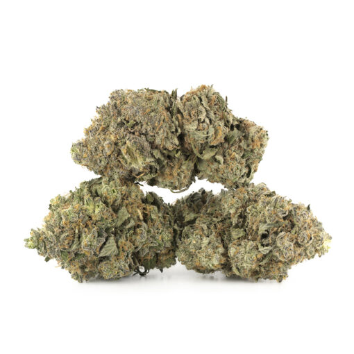 Black Cherry Sherbet Strain​
