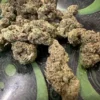 Black Cherry Slushie Strain