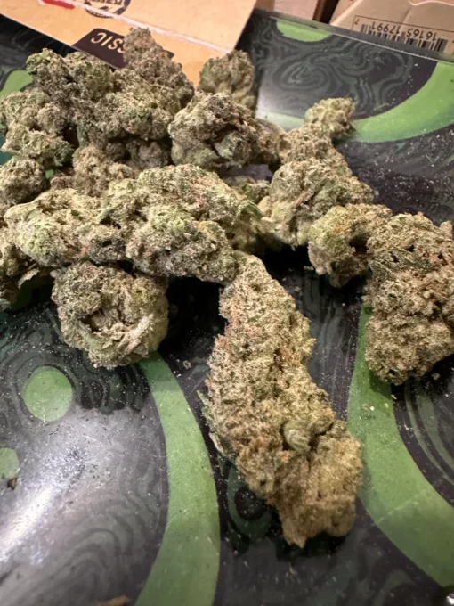 Black Cherry Slushie Strain