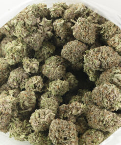 Black Cherry Soda Strain