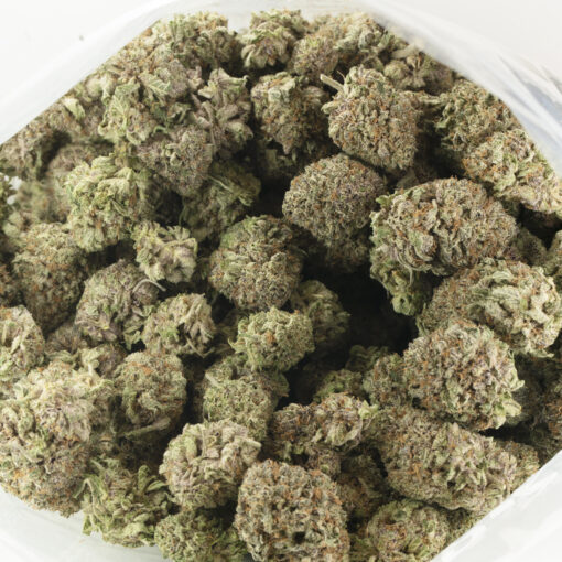 Black Cherry Soda Strain