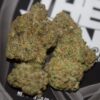 Black Cherry Zkittlez Strain​