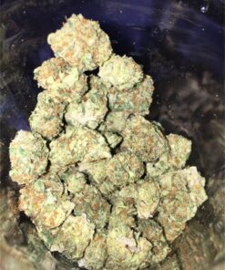 Frozen Black Cherry Strain​