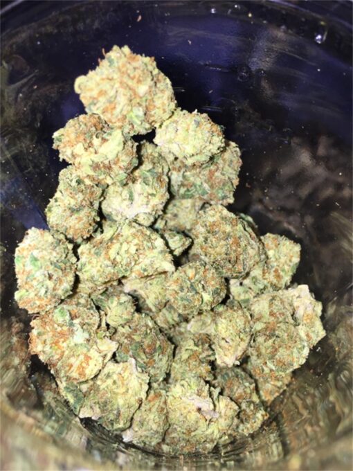 Frozen Black Cherry Strain​