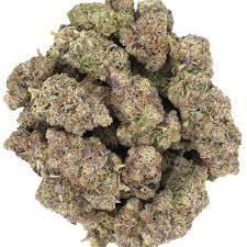 Galactic Gelato Strain