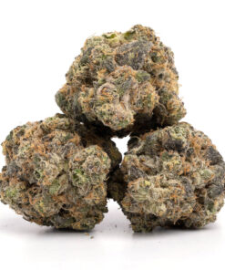 Lemon Cherry Gelato Price Pound
