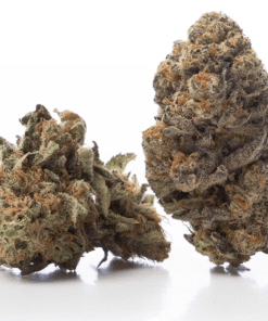 Cherry Lemon Gelato Strain