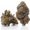 Lemon Cherry Gelato Strain