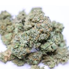 Marathon OG Strain
