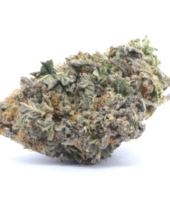 Northern Lights Weed Strain