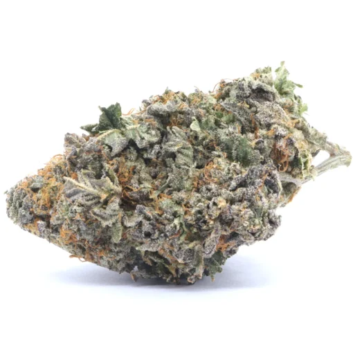 Northern Lights Weed Strain