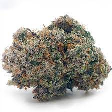 Black Cherry Maduro Strain​