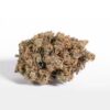 Black Cherry Garlic Strain​