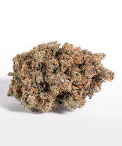 Black Cherry Garlic Strain​