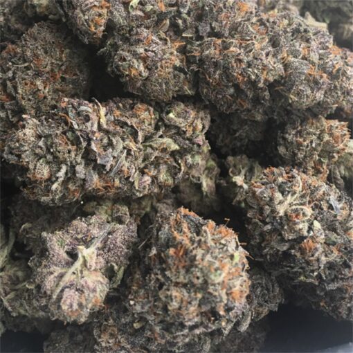 Black Cherry Cookies Strain​