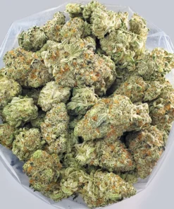 Black Cherry Guava Strain