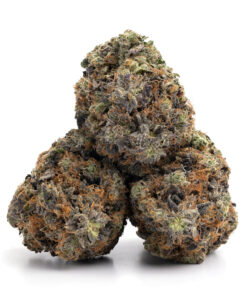 E85 Strain