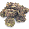 Gelato 45 strain