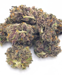 Gelato 45 strain