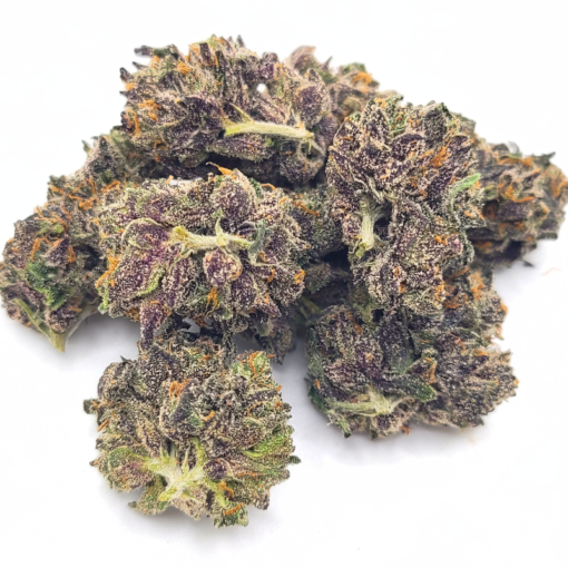 Gelato 45 strain