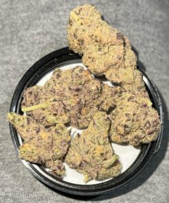 Platinum Lemon Cherry Gelato