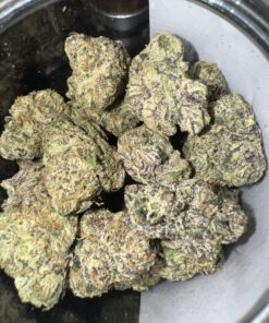 Platinum Lemon Cherry Gelato Strain