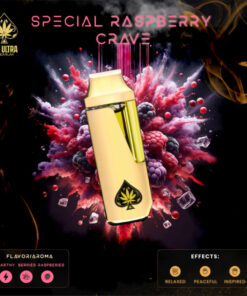 ACE Special Raspberry Crave Disposable